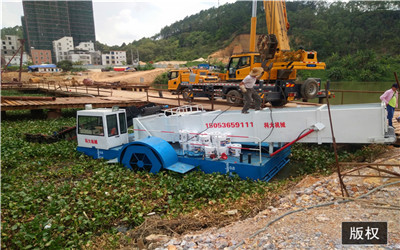 廣東茂名水葫蘆打撈船