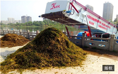 江蘇豐縣割草船